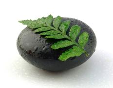 Stone with fern leaf lying on top