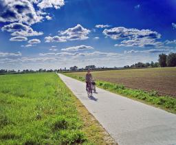Person riding a bicycle on a white path in a green field